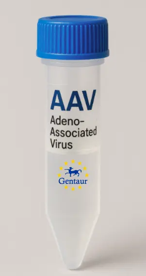 CD84 AAV Vector (Mouse) (CMV)